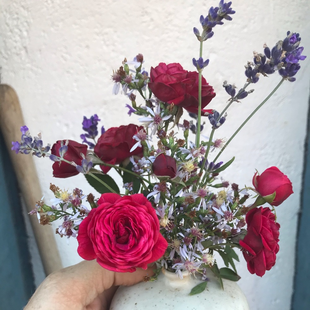 Meet your Posher, Bette